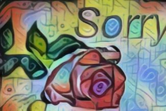 A red rose under the words, Sorry.