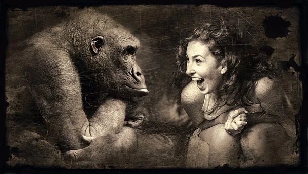 Woman laughs as a gorilla stares at her